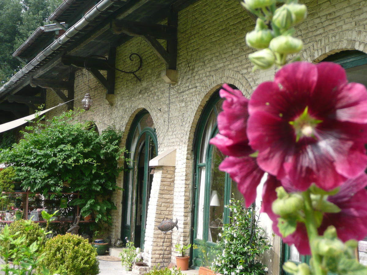 Bed and Breakfast Manoir De Bois En Ardres Exterior foto