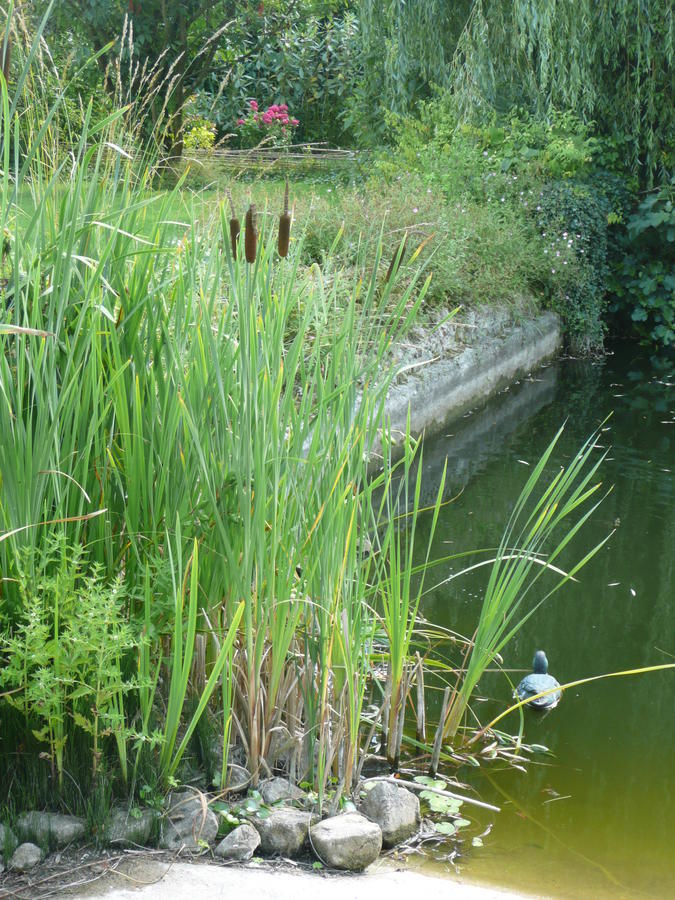 Bed and Breakfast Manoir De Bois En Ardres Exterior foto